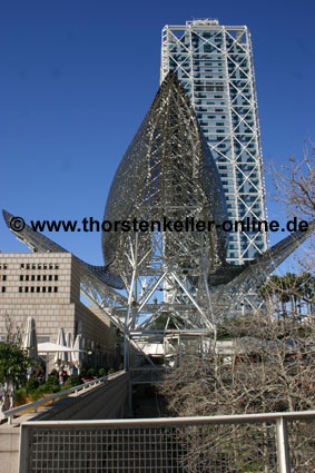 2291_Barcelona_Kupferfisch von Frank Gehry
