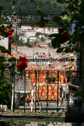 4699_Dubrovnik_Terrasse mit Aussicht