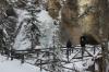 4345_Johnston Canyon Ice Walk, Banff