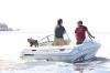 6785_Motorbootfahrer mit Hund