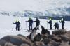 6598_Pinguine und Schneeschuhwanderer