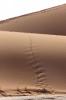 6843_Spuren im Sand