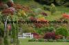 1115_Nordschottland_Gärten von Ballindalloch Castle